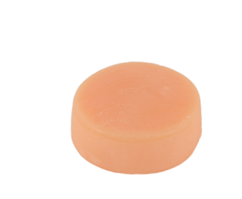 Fresh Citrus Conditioner Bar